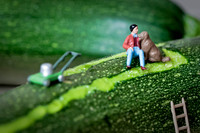 One man went to mow