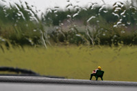 Waiting at the window