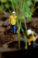 Gardening