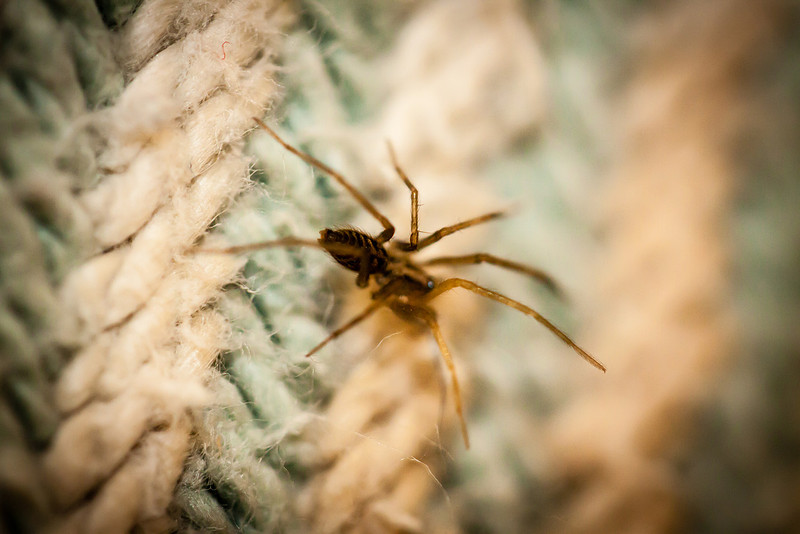 2013_1209untitled25672