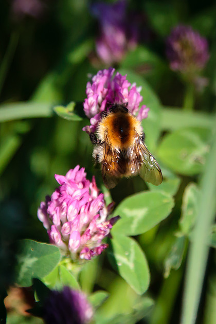 2013_0608untitled18552