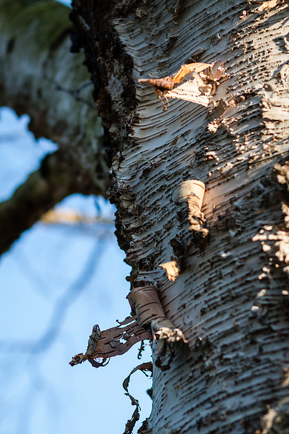 2014_0111untitled26053