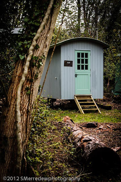 2012_0410merredew0653