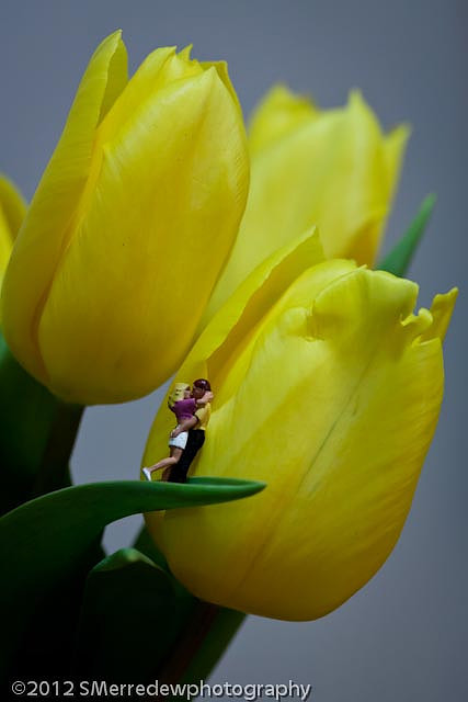 2012_0225merredew0319